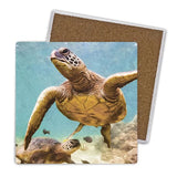 Load image into Gallery viewer, 4 Pack Square Ceramic Elliot Turtle Coaster - 10cm x 10cm
