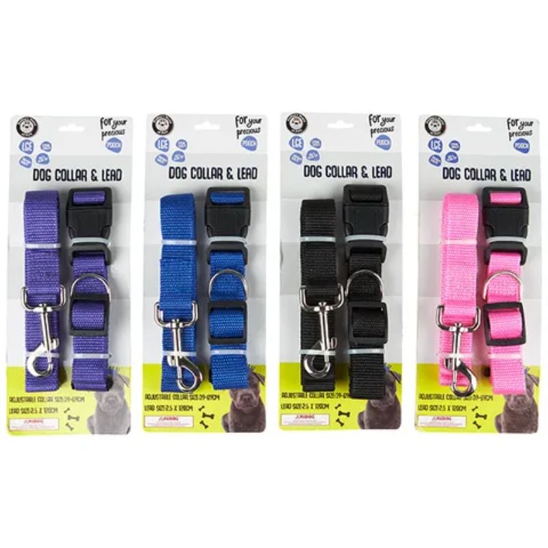 Coloured Dog Collar & Lead - Large
