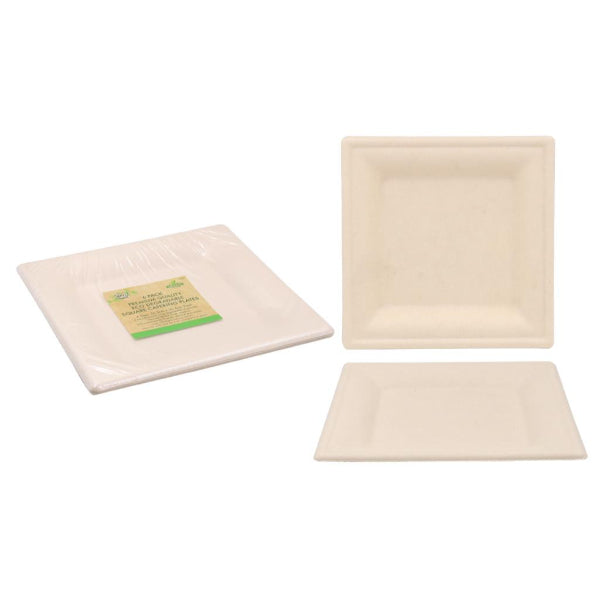 ECO Biodegradable Square Plate 26CM x 26CM (10inch) - 6PK (D)