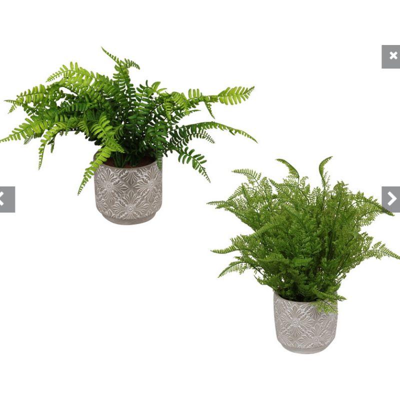 Fern in Mandala Pot - 45cm