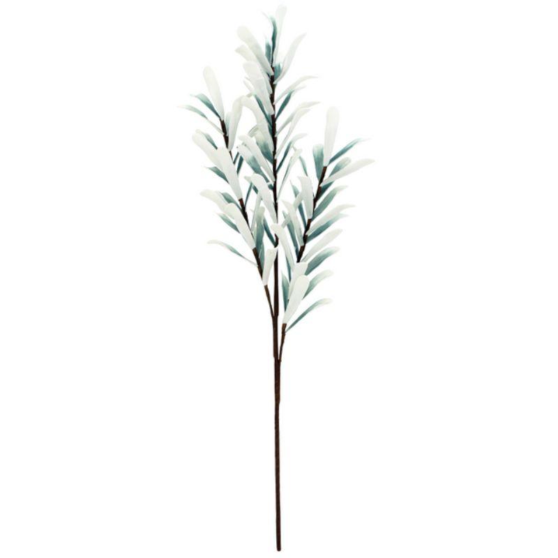 Green Coastal Banksia - 90cm