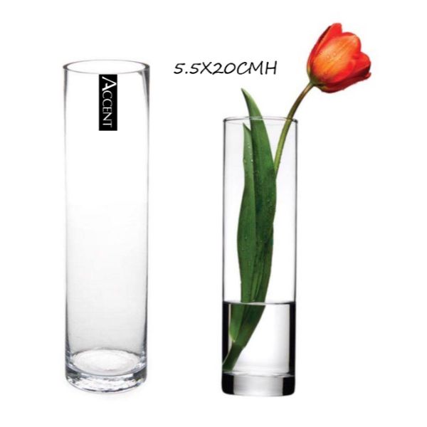Cylinder Glass Vase - 5.5cm x 20cm
