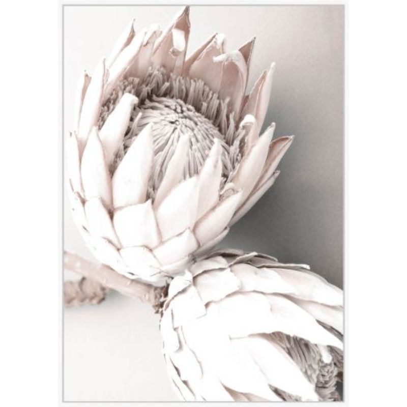 Protea Wall Art - 100cm x 140cm