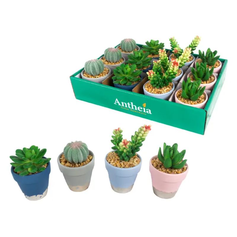Succulents in Paint Dip Pot - 10cm x 7cm