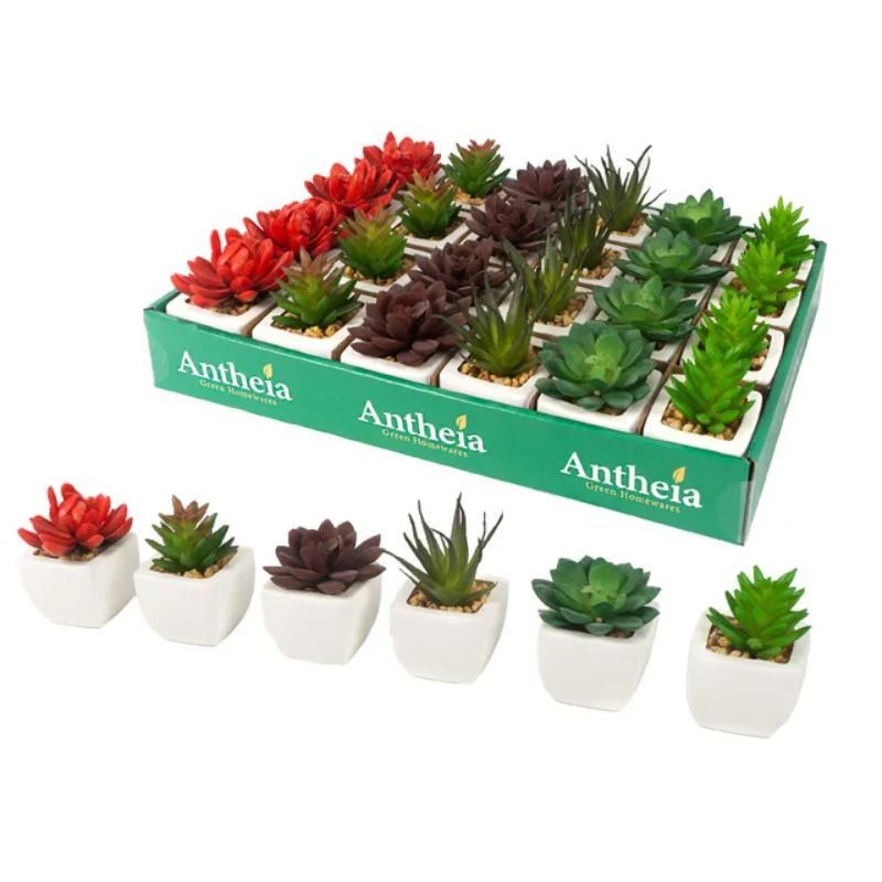 Artificial Succulent Pots PDQ - 8.5cm x 5cm x 5cm