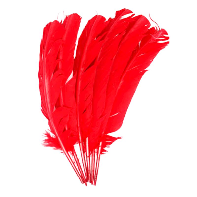 Red Large Feathers