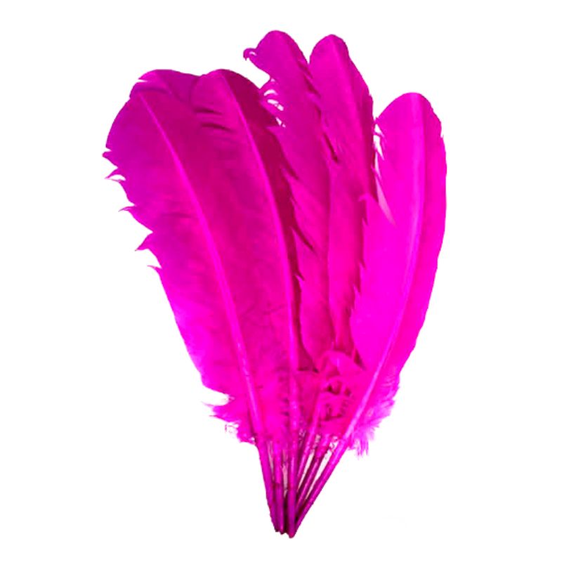 Hot Pink Large Feathers
