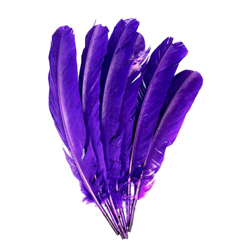 Purple Large Feathers