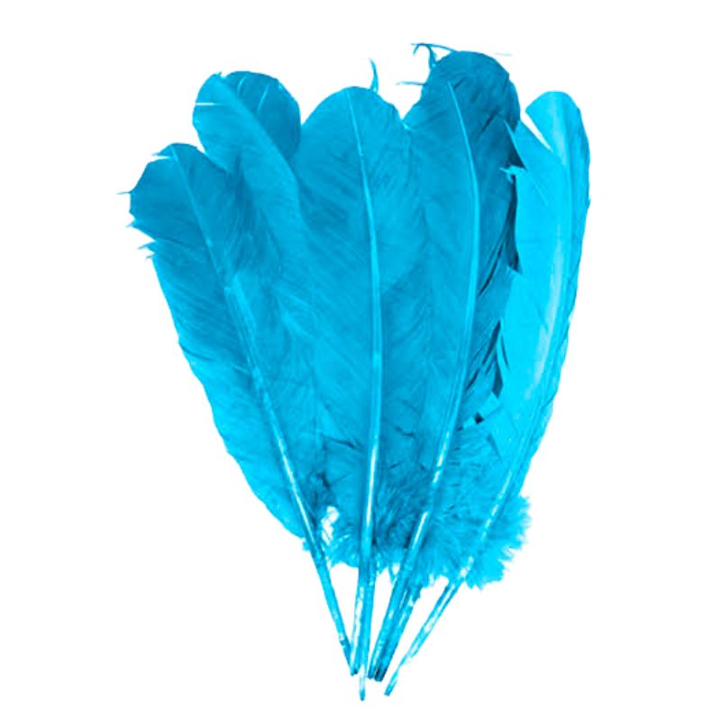 Light Blue Large Feathers