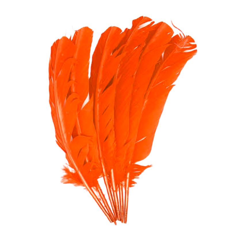 Orange Large Feathers