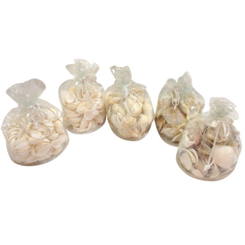 Sea Shells in Bag - 14-15cm