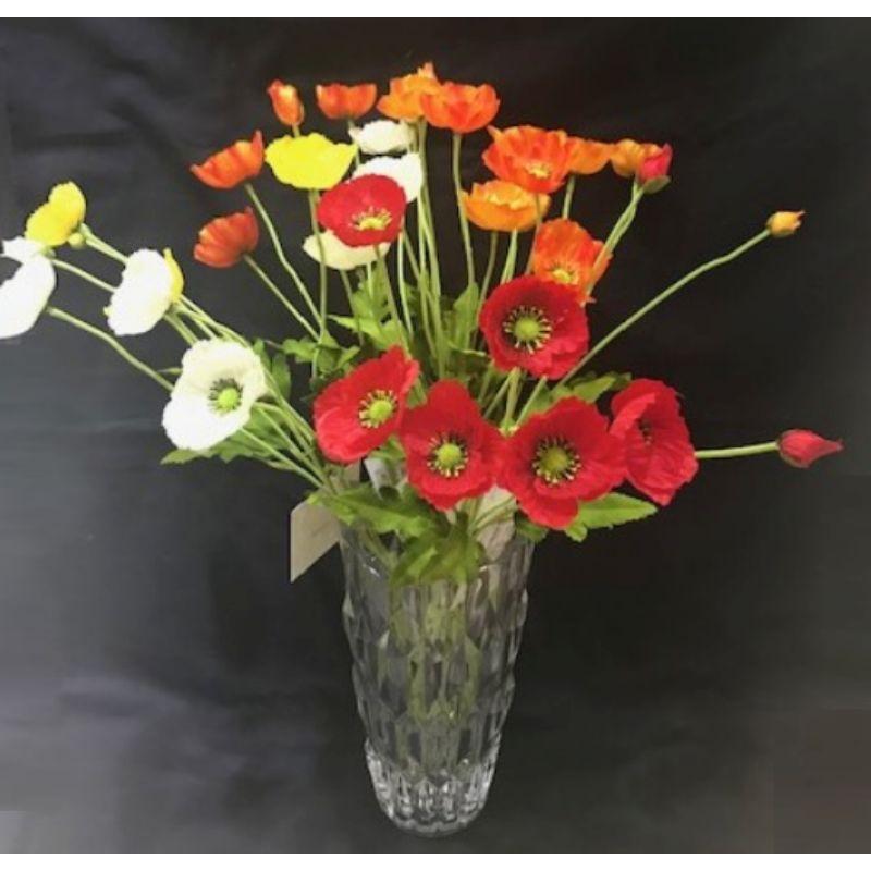 Long Poppy Flower