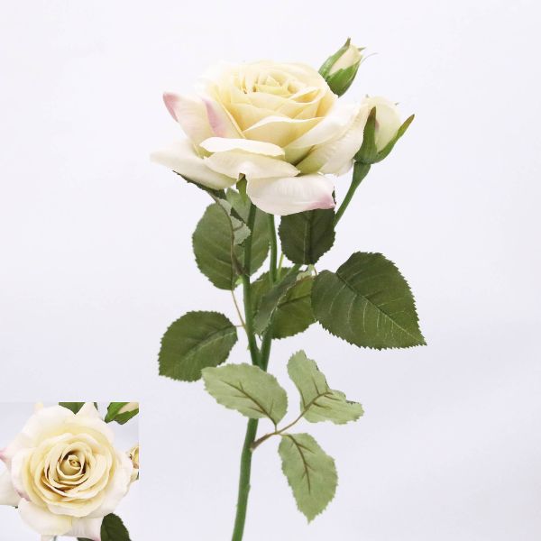Ecru Rose - 52cm