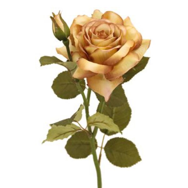 Taupe Rose - 52cm