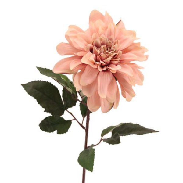 Dahlia Dusty Pink - 80cm
