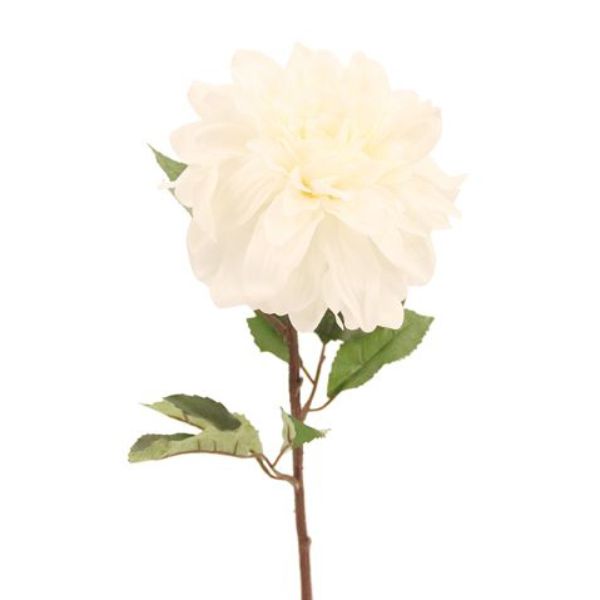Dahlia Ivory - 80cm