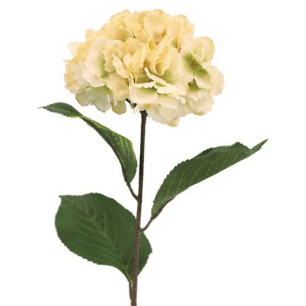 *Hydrangea Taupe - 72cm