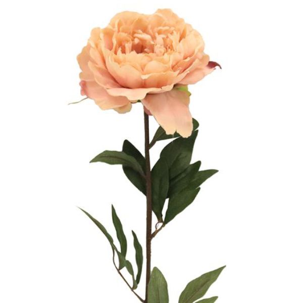 Peony Pink - 85cm