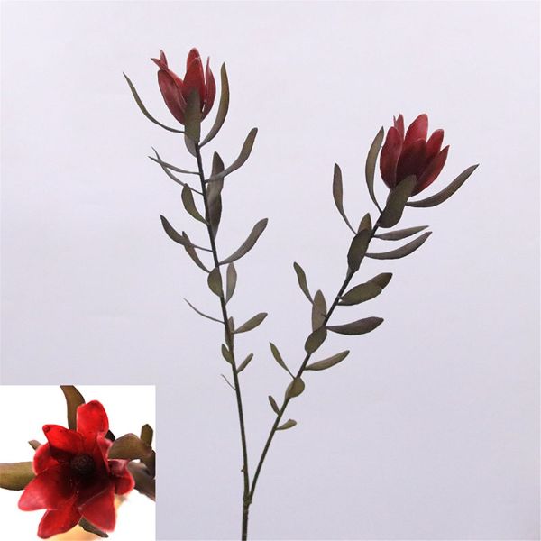 Red Leucadendron - 88cm