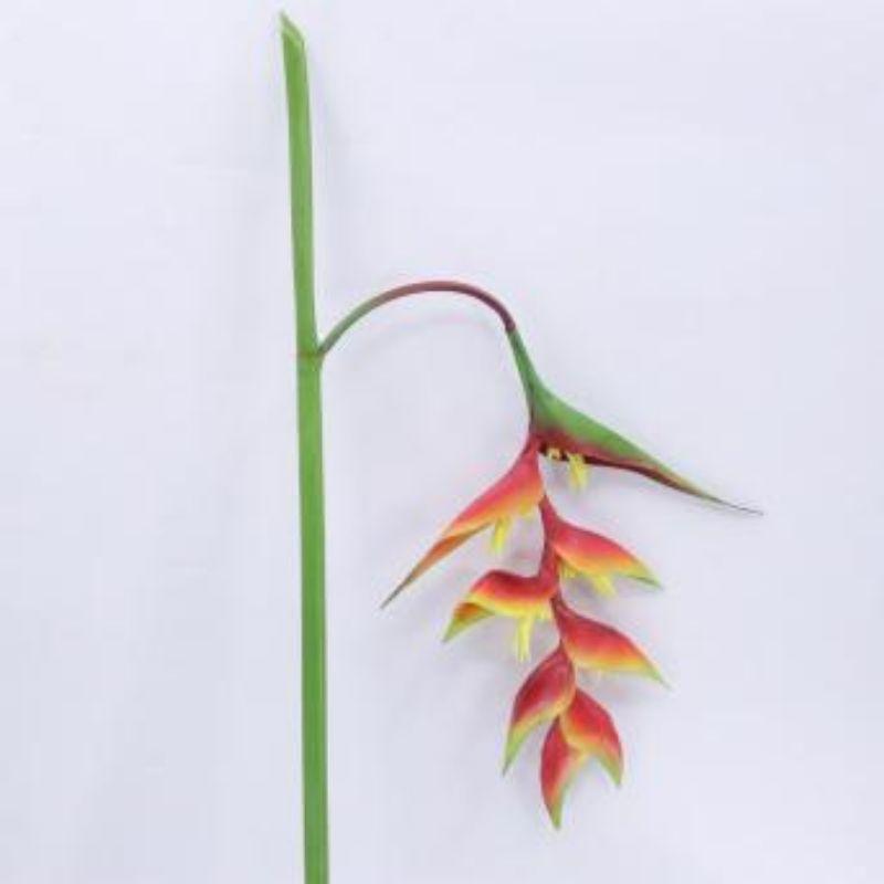 Heliconza Spray - 130cm
