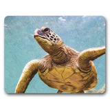 Load image into Gallery viewer, 6 Pack Elliot Turtle Placemat - 34cm x 26.5cm
