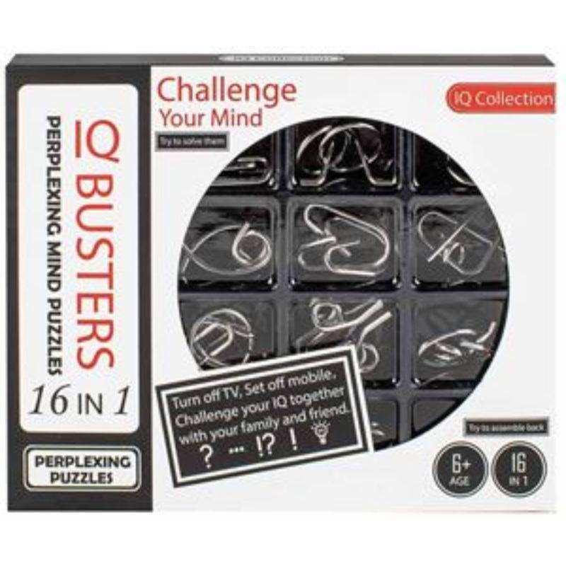 16 Metal IQ Busters Puzzle 2