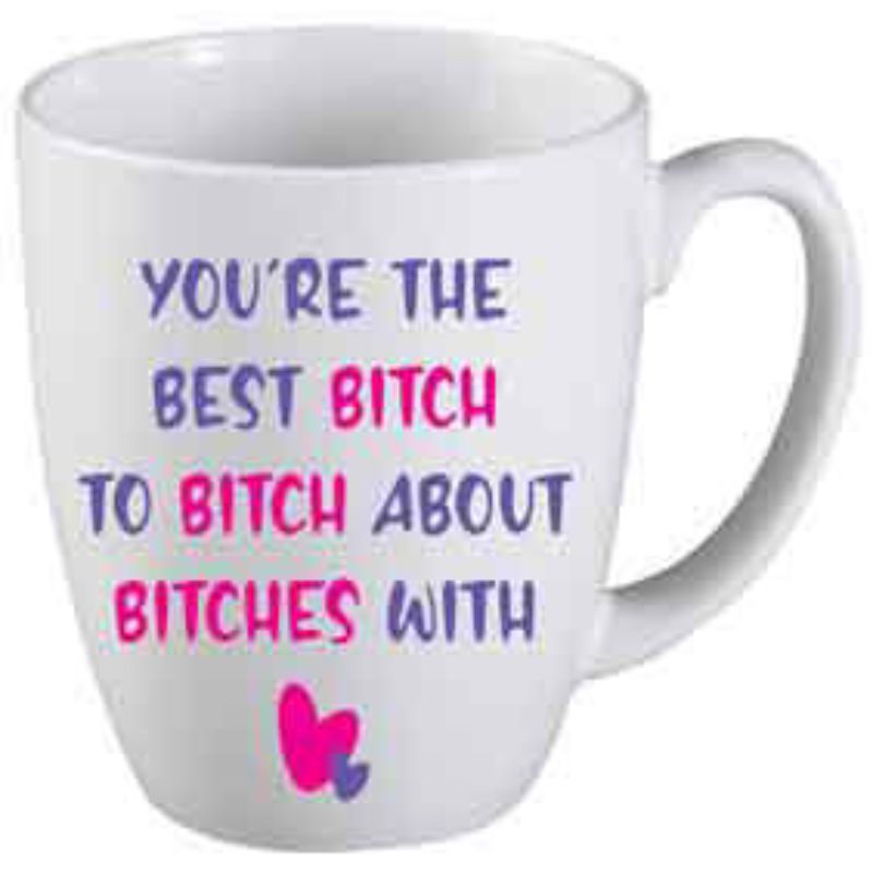 Youre The Best Bitch Novelty Mug - 354ml