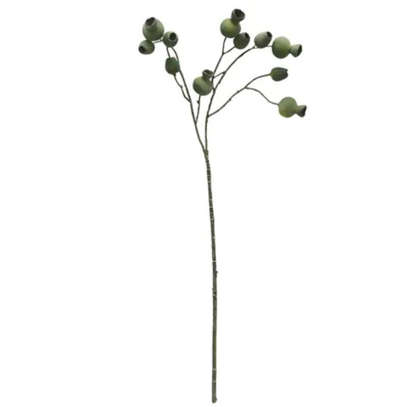 Grey Gum Nut Stem - 68cm