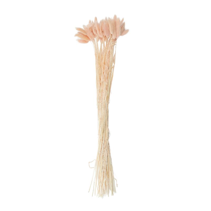 Peach Lagurus Dried Bunch - 60cm