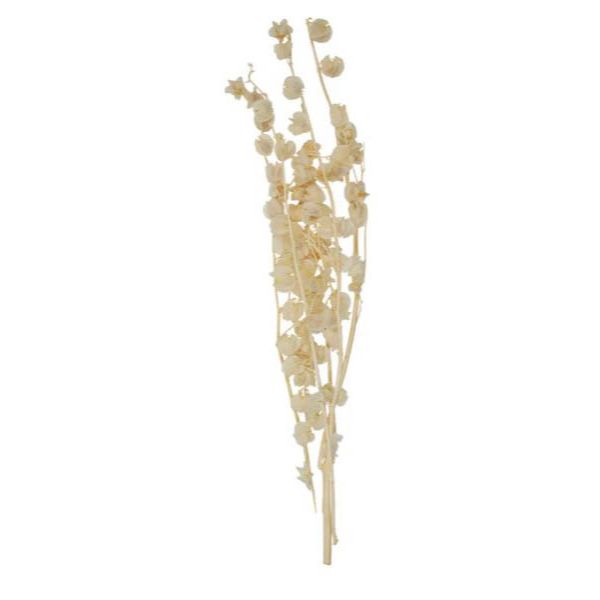 Ivory Lily Valley Preserved Bunch - 60cm