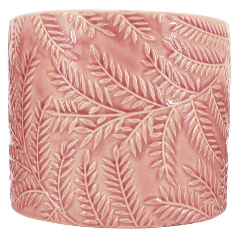 Pink Paprat Planter - 12.5cm x 12.5cm