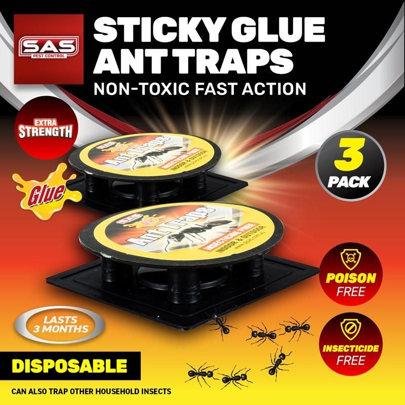 3 Pack Sticky Glue Ant Traps