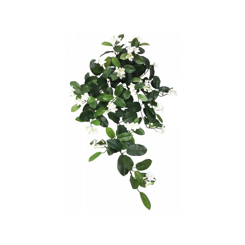 White Hanging Stepahnotis Bush with 162 Leaves - 90cm