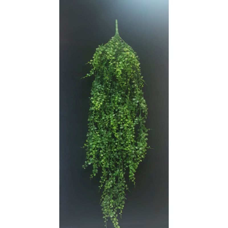 Green Maidenhair Fern Hanging Bush x 14 - 102cm