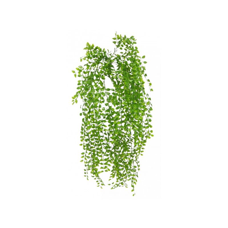 Green Hanging Ruscus Bush - 81cm