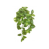 Load image into Gallery viewer, Green Pothos Hanging Bush x 8 - 66cm