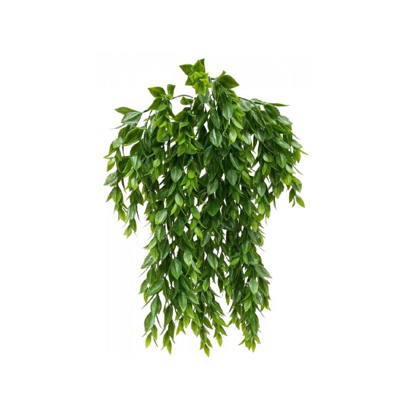 Green Ruscus Bush - 56cm