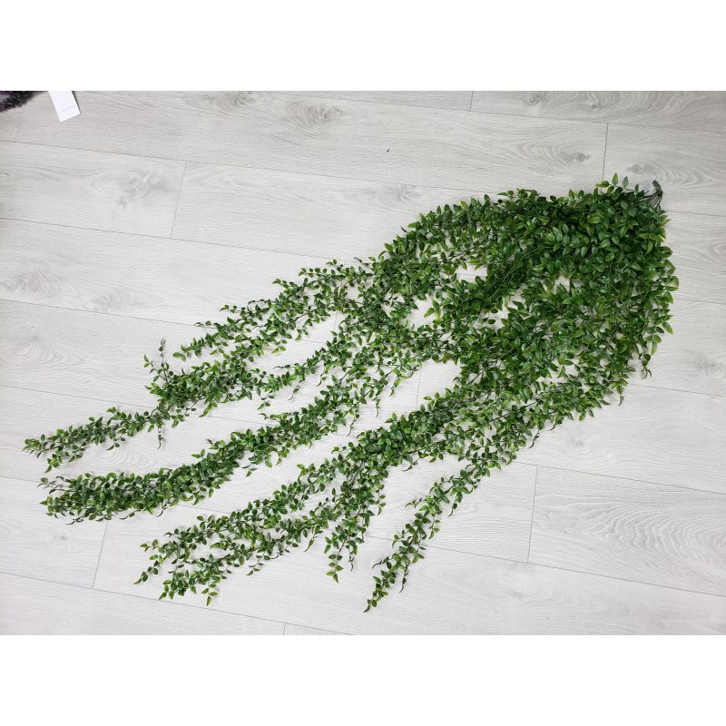 Green Trailing Ruscus Vine - 118cm