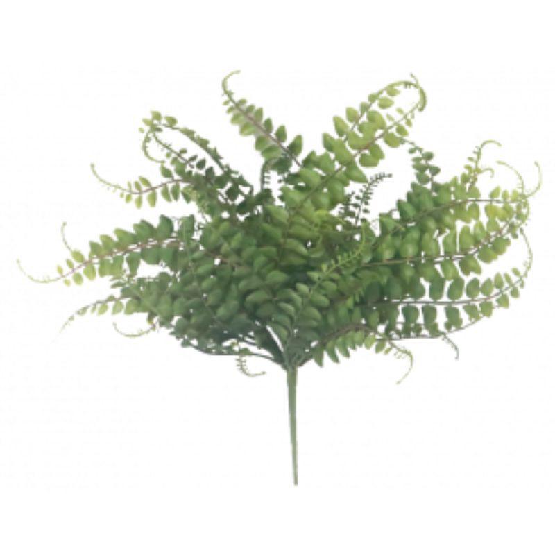 Green Baker Fern Bush - 43cm