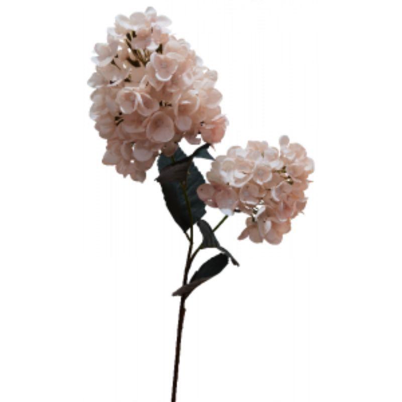 Light Pink Cone Hydrangea - 90cm