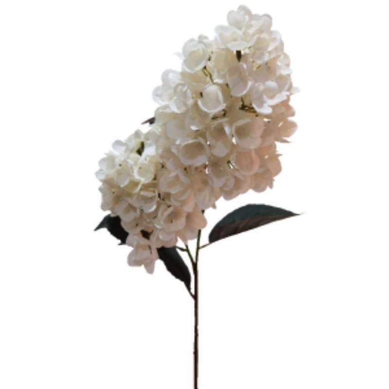 White Cone Hydrangea - 90cm