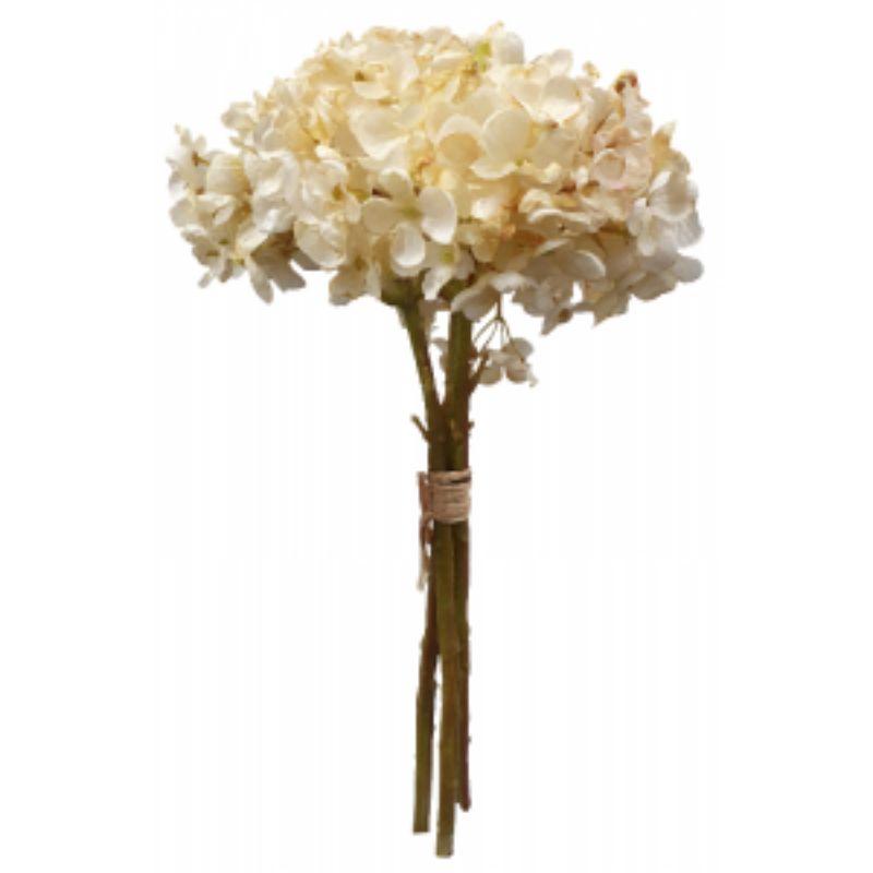 Cream Dried Hydrangea Bouquet - 35cm