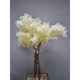 Load image into Gallery viewer, White Pampas Spray x 3 - 105cm
