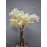 Load image into Gallery viewer, White Pampas Spray x 3 - 105cm