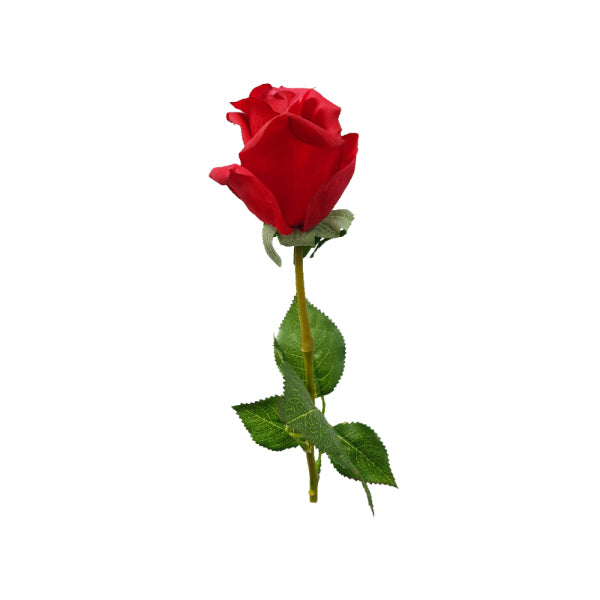 Red Rosebud