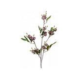 Load image into Gallery viewer, Purple Blackwood Wattle Acacia Melanoxylon Spray - 92cm