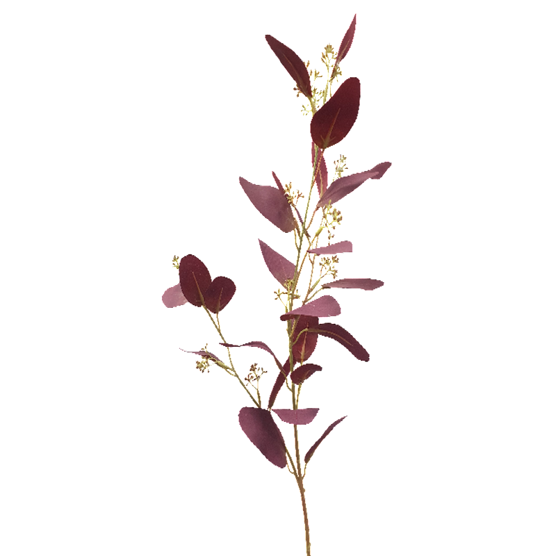Burgundy Eucalyptus Spray with Seed - 62cm