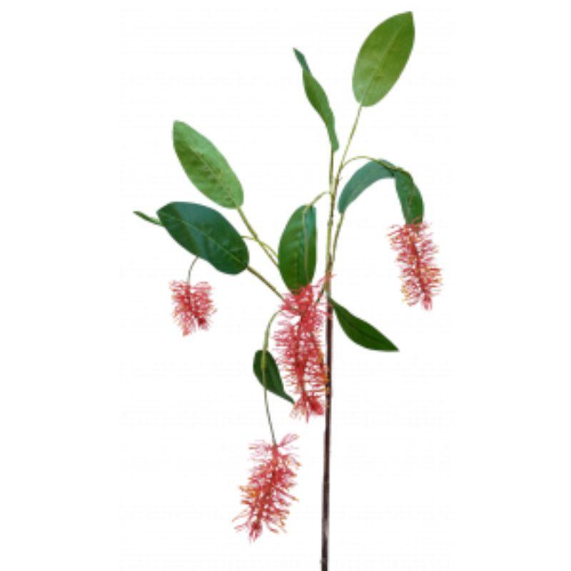 Red BottleBrush - 85cm