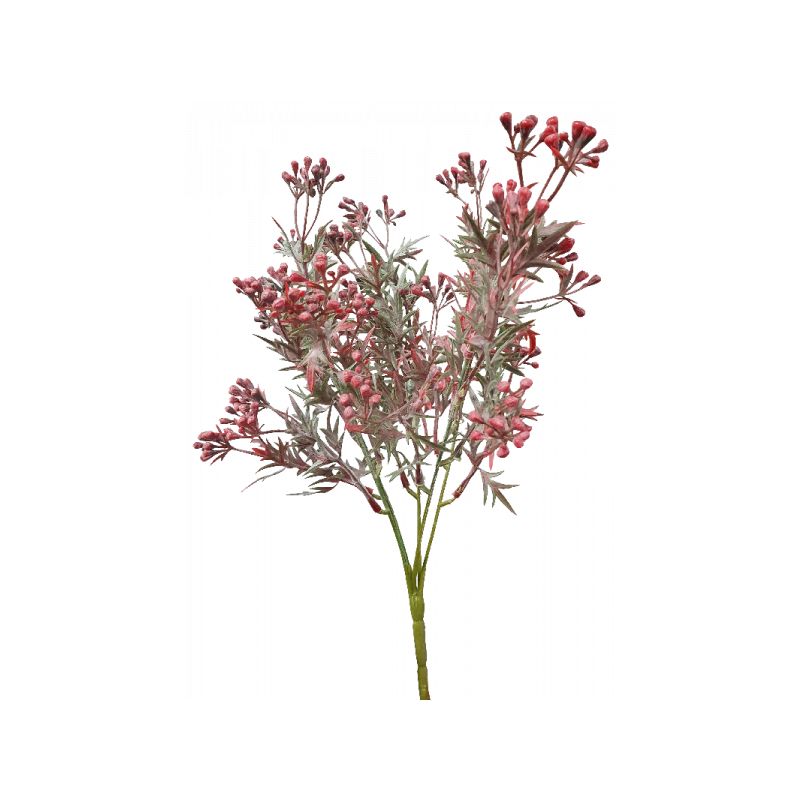 Santa Maria Bush with Pink Purple Flowers - 200cm