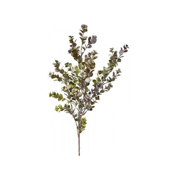 Dark Green Boxwood Spray - 80cm